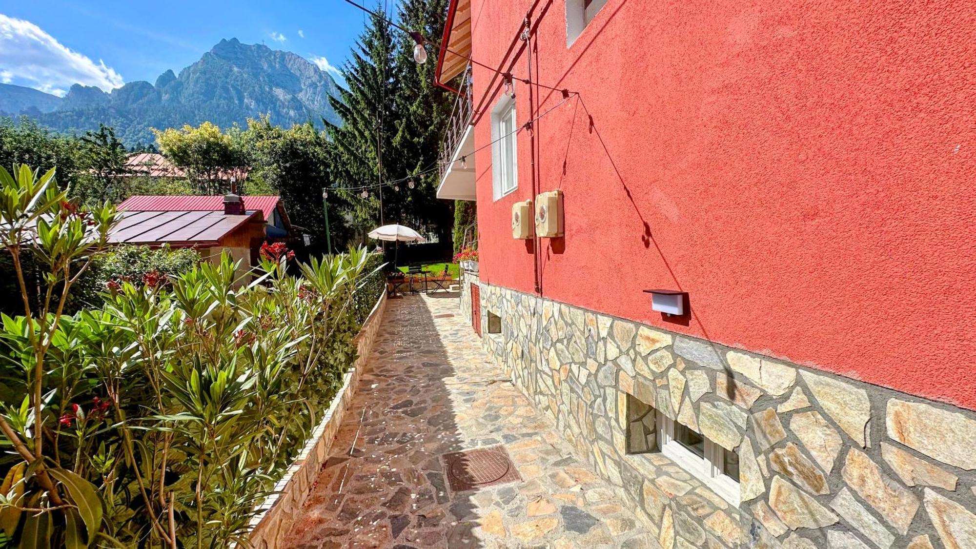 Valea Alba View - Self Check-In Ξενοδοχείο Buşteni Εξωτερικό φωτογραφία