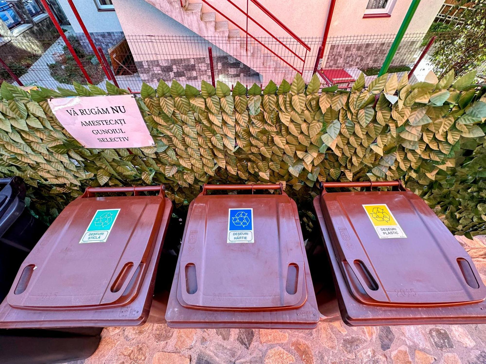 Valea Alba View - Self Check-In Ξενοδοχείο Buşteni Εξωτερικό φωτογραφία