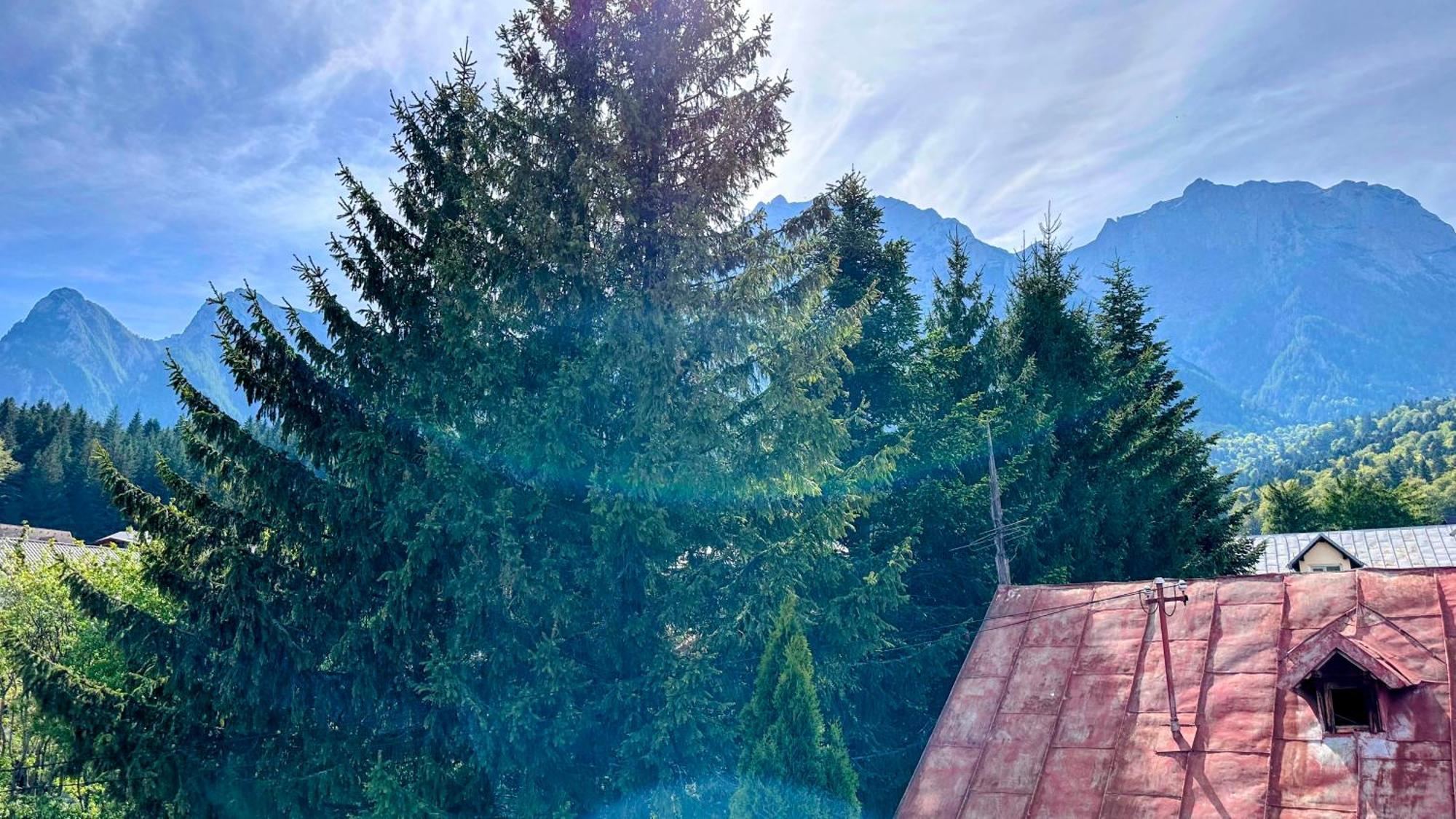Valea Alba View - Self Check-In Ξενοδοχείο Buşteni Εξωτερικό φωτογραφία